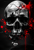 Sacred Skull - Impression sur aluminium HD | E9 Fine Metal Art